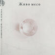 кнаига 20