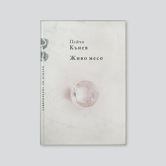 кнаига 20