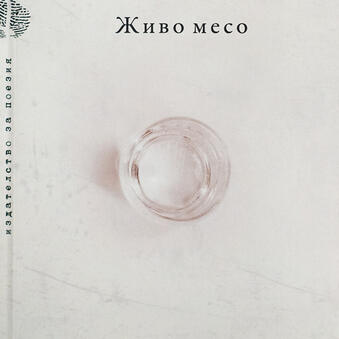 кнаига 20