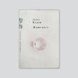 кнаига 20