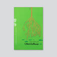 книга 42